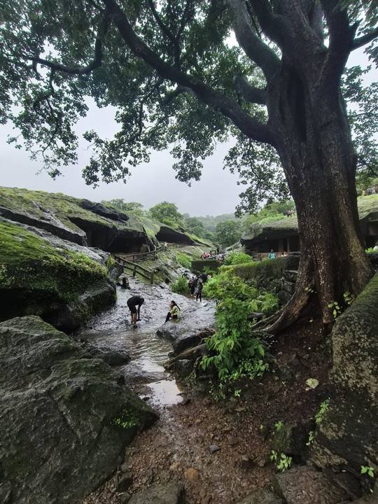 Kanheri Monsoon Rocks, Mumbai