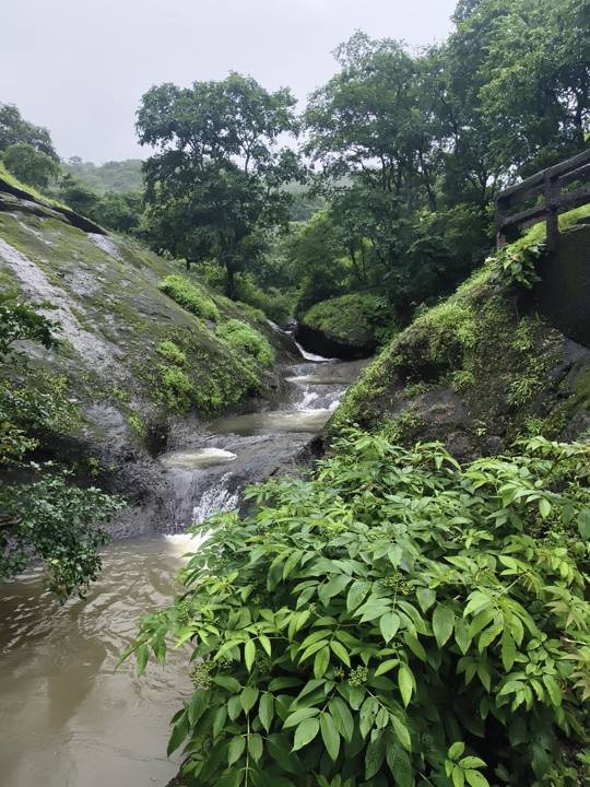 Kanheri Stream, Mumbai