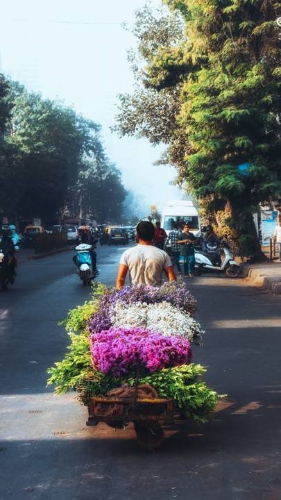 Flower Cart on the Move, Mumbai